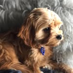 Benson Darcy - @benson_darcy_hawking - Instagram