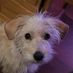 Benson Hendrix - Facebook
