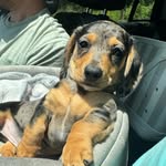 Benson Lamar Walker-Holmes - @bensonlamarwh - Instagram