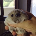 Oscar William Benson-Holmes - @oscarwilliambensonholmes - Instagram