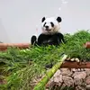 @bensonisaac - @boison.80808 - TikTok