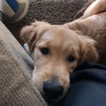 Benson Keefer - @bensonkeefer - Instagram