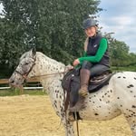 𝐵𝑒𝓃𝓈𝑜𝓃 - @kleinerprinz_benson_und_co - Instagram