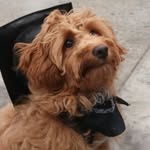 Benson Ray Klein - @bensonrayklein - Instagram