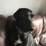 benson - @benson_lewiss - Instagram