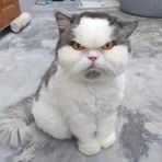Benson  Lui - Facebook