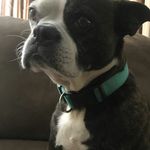 benson moore - @beniebabysplanet - Instagram