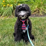 Benson Morris - @sir_benson_doodlepants - Instagram