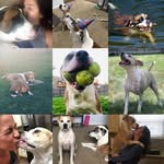 Benson & Murphy - @hon_and_mur - Instagram