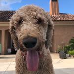 Benson Murphy - @benson_murphy - Instagram