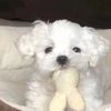 Murphy.Benson - @murphy.benson.kk - TikTok