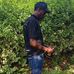 Benson Oseitai - Facebook