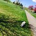 Benson Park - Facebook