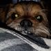 Billie Perkins Benson - Facebook