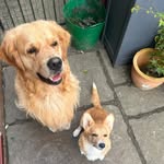 Remy and Benson Roberts - @the_life_of_remy_and_benson - Instagram