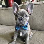 Benson - @royal_benson - Instagram