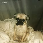Sullivan Benson - @sullivanbenson - Instagram