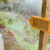 Benson Tsai - @benson_t - TikTok