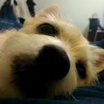 蔡小黑 - @benson_tsai___ - Instagram