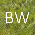 @bensonwarddesign - Instagram