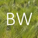 @bensonwardlandscape - Instagram