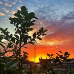 Ward Benson - @wardbenson27 - Instagram