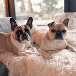 Benson | Westley - @benson_westley - Instagram