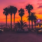Wilder Benson - @benson.wilder - Instagram