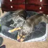 Benson Wilson76 - @benson.wilson4 - TikTok