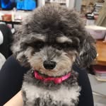 Benson Yip - @yipbenson49 - Instagram