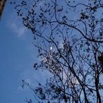 Benson Yuen - @benson_yuen.520 - Instagram
