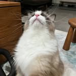 Bensonzhou - @bensonzhou218 - Instagram
