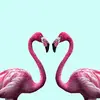 bent.jorgensen14 - @dancequeen2346 - TikTok