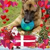 Bente Petersen - @bente.petersen - TikTok