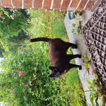 Bente Pedersen - @bentepedersen1 - Instagram