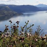 Bente Pedersen - @bspedersen64 - Instagram
