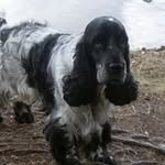 Bente Pedersen - @bente.pedersen.5437 - Instagram