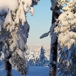 Bente Pedersen - @bente.pedersen.5473 - Instagram