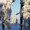 bentepedersen56 - @bentepedersen56 - TikTok