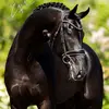 Benthe Postma - @benthe.postma2 - TikTok