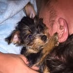 Ben Ben - @_bentleybaker - Instagram