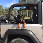Bentley - @bentleybaker2023 - Instagram