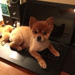 Bentley Baker - @baker_bentley - Instagram