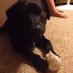 Bentley Baker - @bentley.baker - Instagram