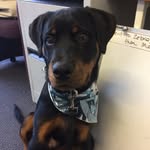 Bentley Baker - @mrbentleybaker - Instagram