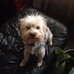 Bentley Baker - @bentley_baker3 - Instagram