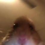 Bentley Baker - @bentley.baker.184 - Instagram