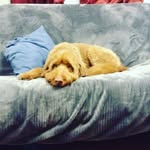 Bentley Baker - @bentley_baker16 - Instagram