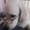 Bentley Baker! - @benny.ben101 - TikTok