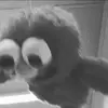 Bentley Black - @bentleyjohnblack - TikTok